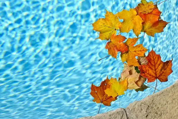 Feuilles d’automne tombées dans une piscine avant l’hivernage